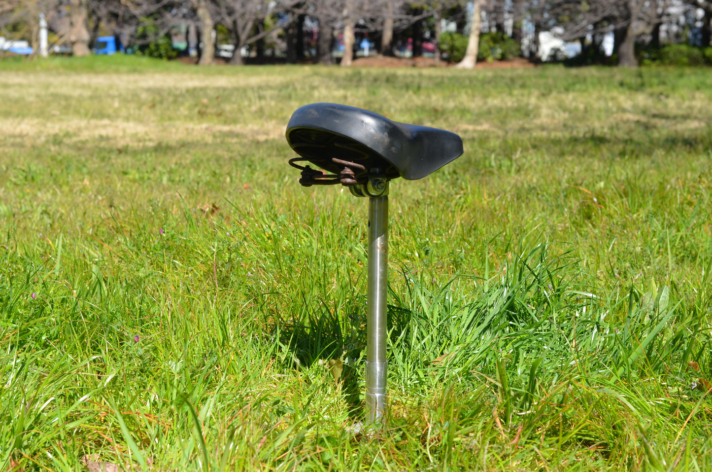 Bicycle Saddle Seat